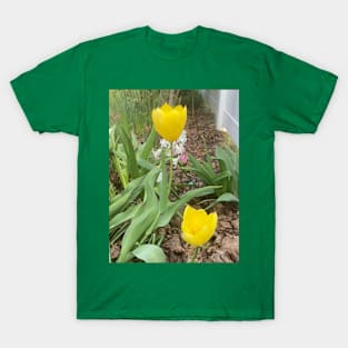Yellow Tulips T-Shirt